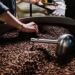 Single-Origin vs. Blend Coffee Beans